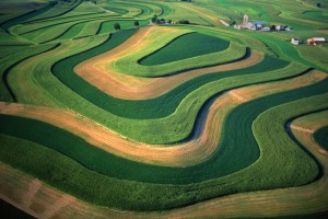 PA landscapes, Farm Contours, Mixed Cropping, Berks County, Pennsylvania Aerial Photograph Pennsylvania
